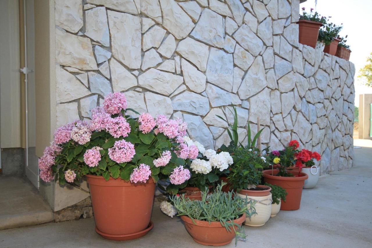 Apartments With A Parking Space Punta Kriza, Cres - 8082 Exterior foto